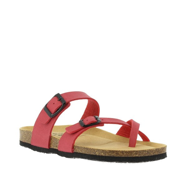 Plakton 181032 VEGAN ROJO