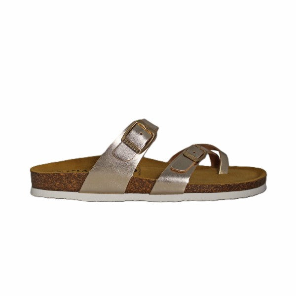 Plakton 181032 ORO