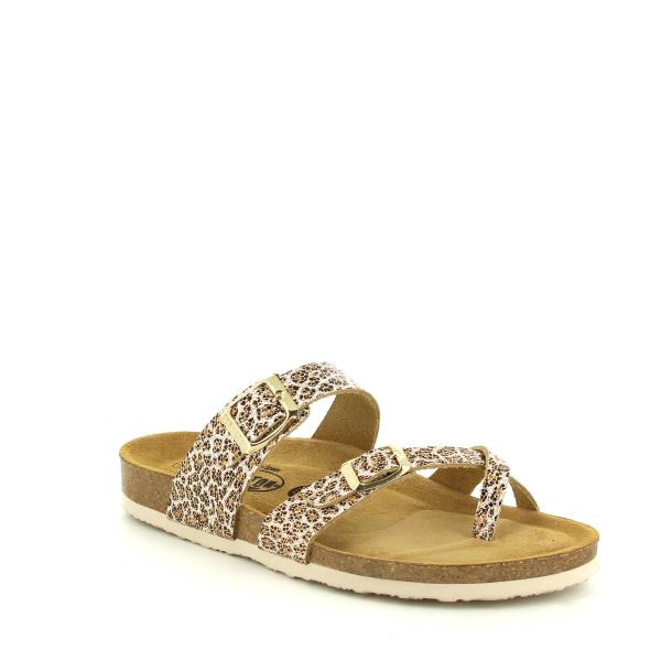 Plakton 181032 ORO