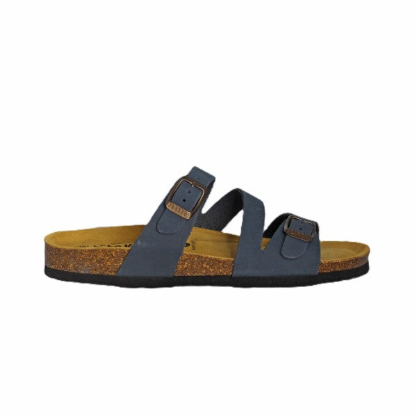 Plakton 181210 ATLANTIC