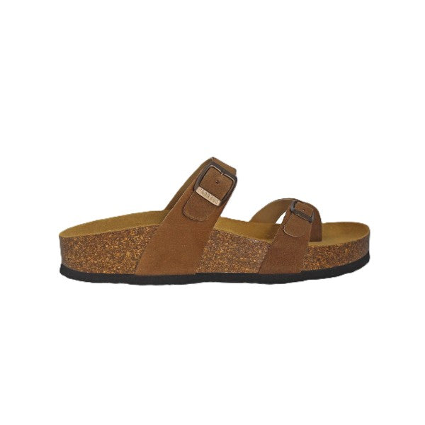 Plakton 341032 VISION