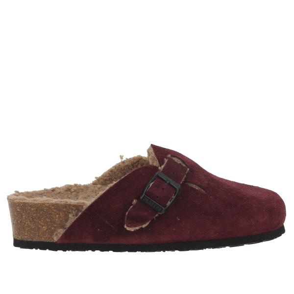 Plakton 341539 BURDEOS