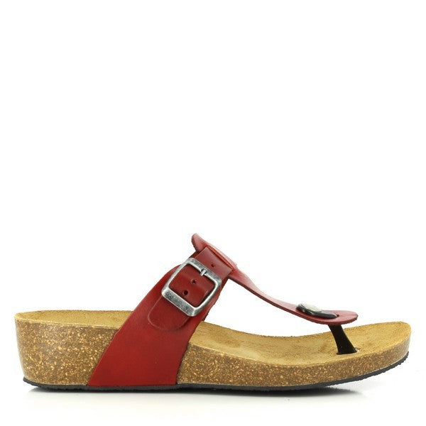 Showcase Plakton's Red Wedge Sandals against a white backdrop, highlighting their sleek design and vibrant red colour. 