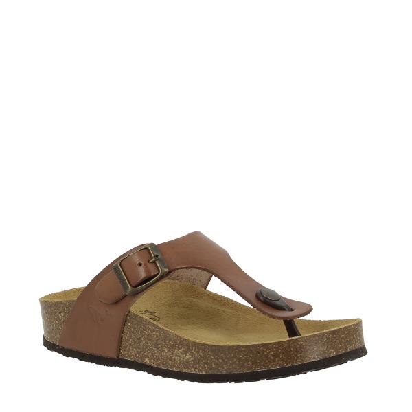 Showcase Plakton's 341671 Brown Women's Sandals against a neutral backdrop, highlighting their classic design and rich brown color. The Plakton logo on the side adds a touch of authenticity to the stylish ensemble.