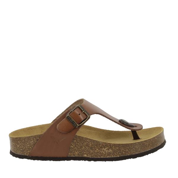 Showcase Plakton's 341671 Brown Women's Sandals against a neutral backdrop, highlighting their classic design and rich brown color. The Plakton logo on the side adds a touch of authenticity to the stylish ensemble.